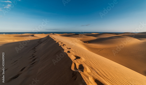 vista de la playa de maspalomas (Gran Canaria) desde la cima de una duna donde se dibuja un camino de huellas