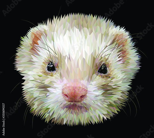 Cute fluffy muzzle of a ferret isolated on black background. Vector 3D illustration. EPS10.