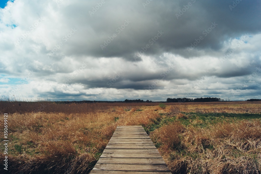 Most drewniany w parku krajobrazowym, trawy, chmury błękit