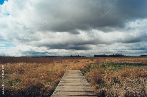 Most drewniany w parku krajobrazowym, trawy, chmury błękit © Mateusz Czarniecki