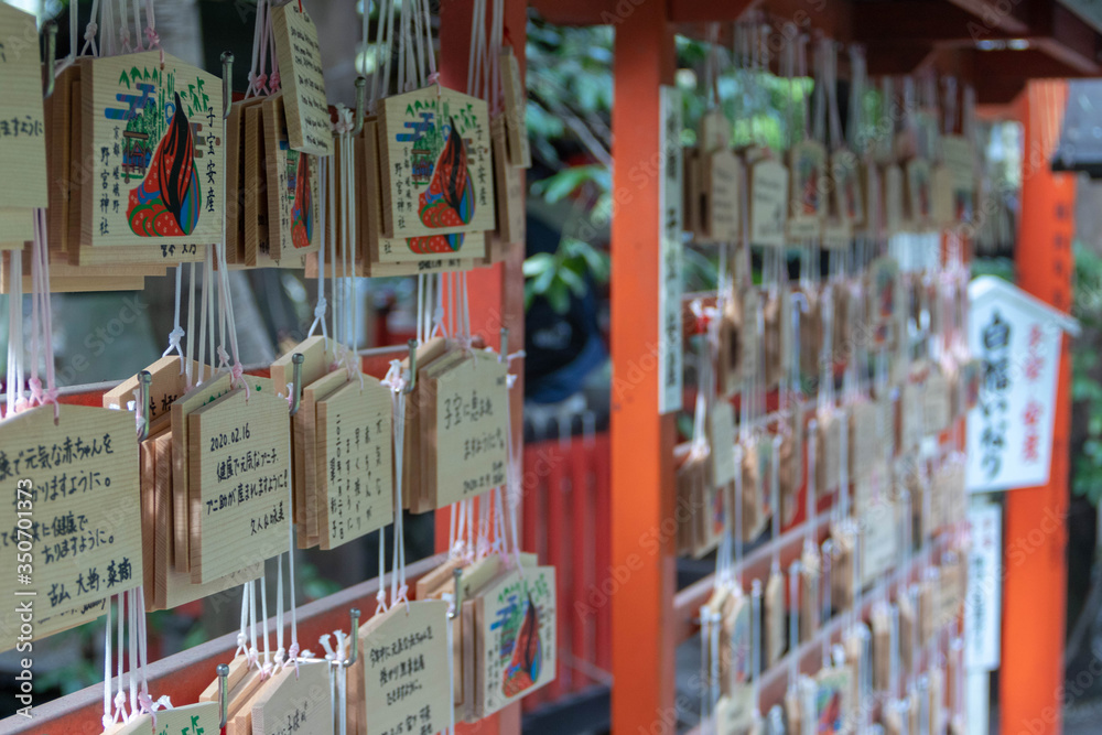 Obraz premium Ema wood plaque