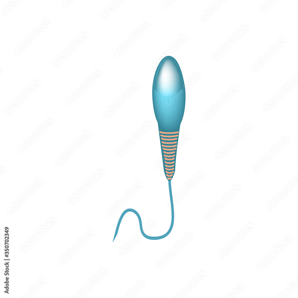 Pathological forms of sperm in the ejaculate. Male infertility Oligospermia. Spermogram. Sperm defects. Infographics. Vector illustration on isolated background. Pathological forms of sperm in the ejaculate. Male infertility Oligospermia. Spermogram. Sperm defects. Infographics. Vector illustration on isolated background.