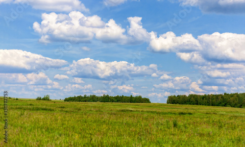 Blue sky and cloud with meadow tree. Plain landscape background for summer poster.