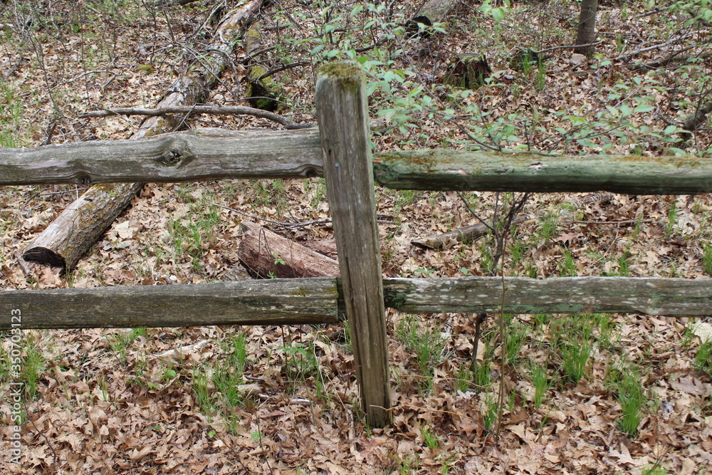 Fototapeta premium old wooden fence