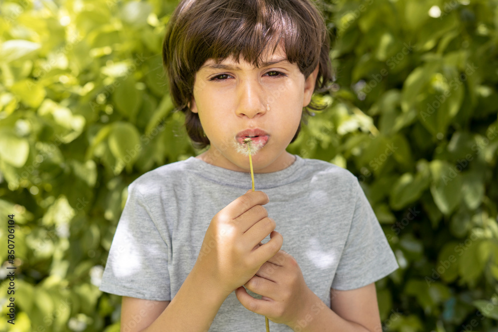boy blowing dandelion wishing end of the covid-19 boy blowing dandelion wishing end of the covid-19
