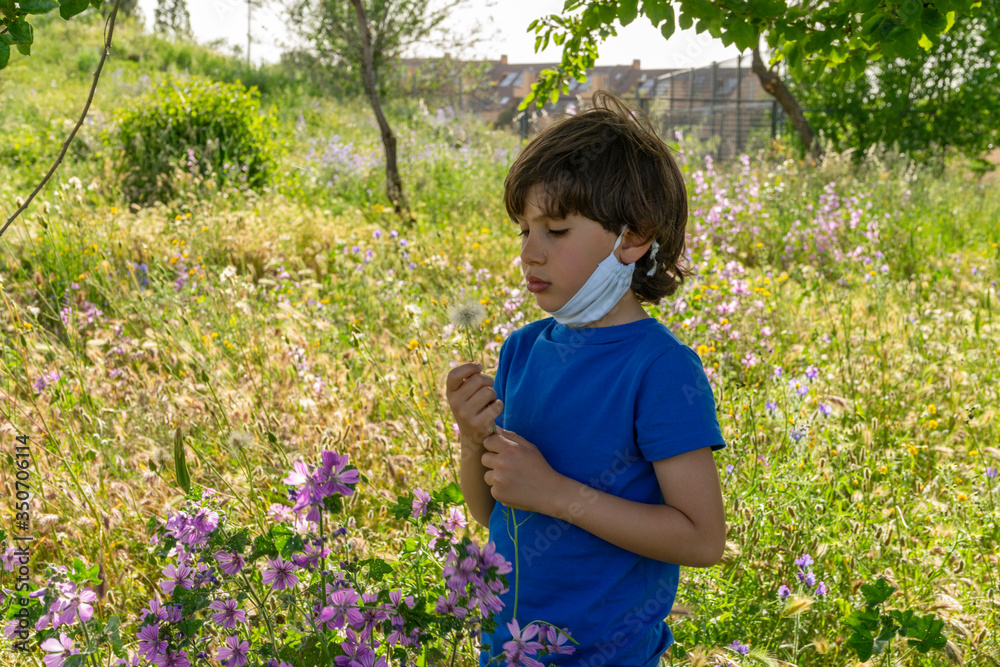 boy blowing dandelion wishing end of the covid-19 boy blowing dandelion wishing end of the covid-19