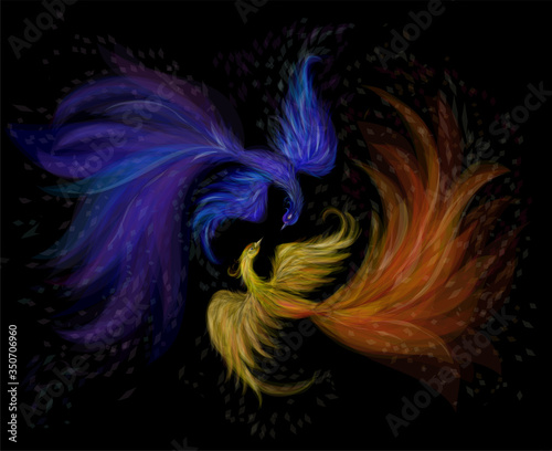 Two lovers firebirds on a black background, vector illustration. Fairytale birds phoenixes of blue and fiery color. Folklore. Beautiful decorative illustration.