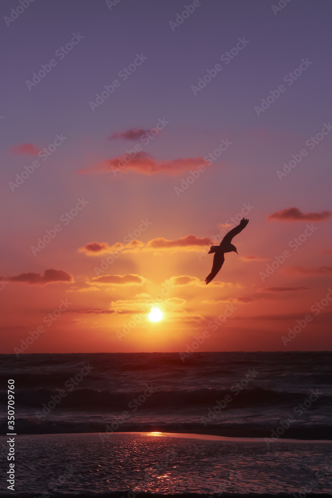 Fototapeta premium Sun