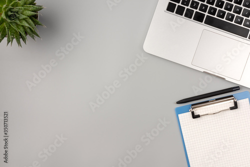 Flat lay, top view office table desk. Workspace of a doctor with laptop, notepad and home plant on the table. Gray background.