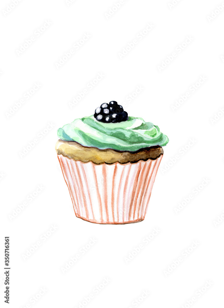 Watercolor illustration of cupcake with blackberries and with mint or pistachio cream on a white background. Watercolor illustration of cupcake with blackberries and with mint or pistachio cream on a white background.