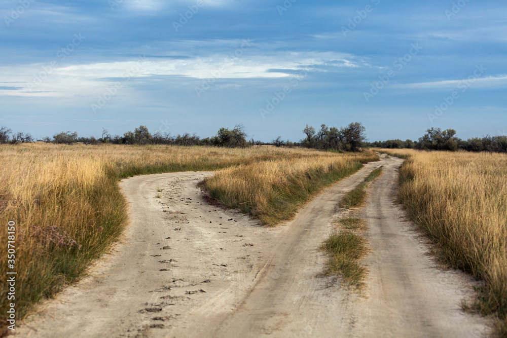 Two country roads in the southern steppe, grassland by Black sea, Ukraine