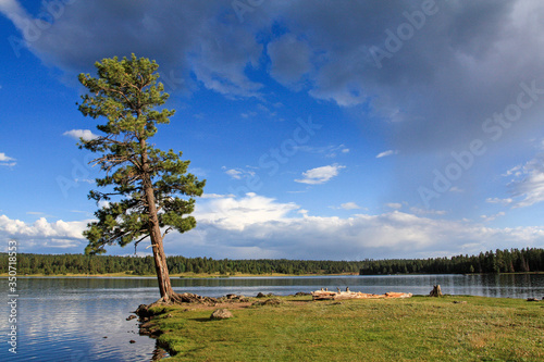 Hawley Lake Arizona