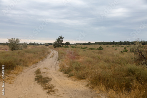 A country road in the southern steppe, grassland by Black sea, Ukraine