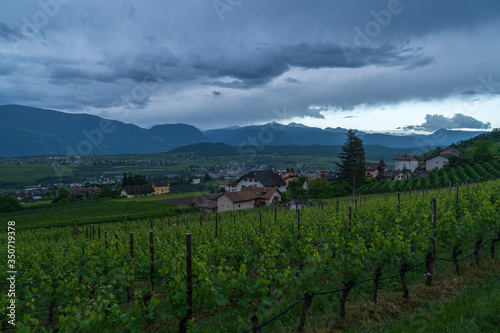 The municipality of Appiano in South Tyrol in northern Italy.