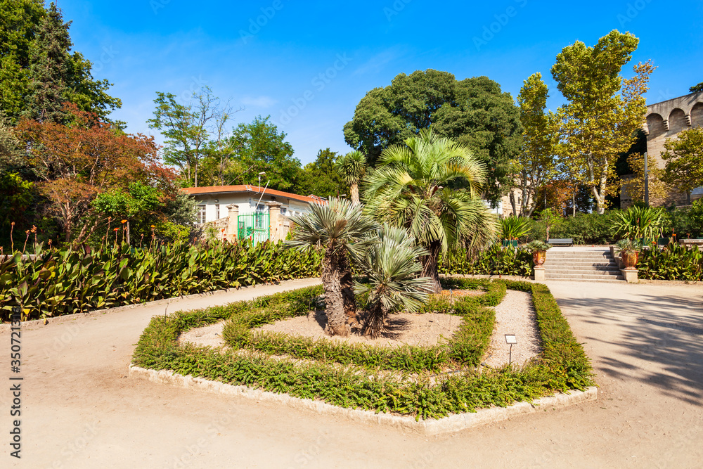Jardin plantes botanical garden, Montpellier