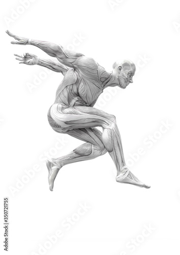 muscleman anatomy heroic body jumping in white background