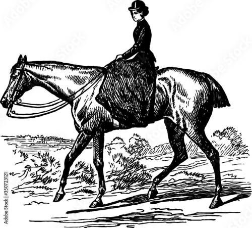Hand Drawn illustration of a Madame on a Horse