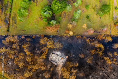 Forest wildfire in the forest with some burned trees and houses. Ashes from wood and houses