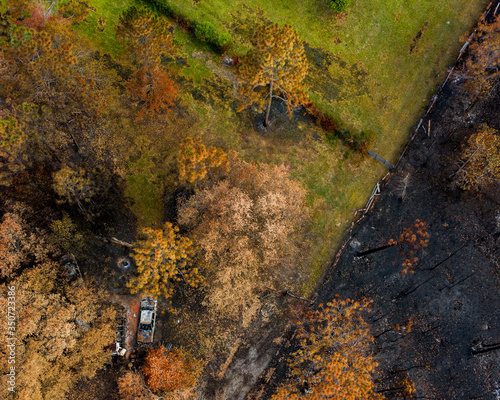 Forest wildfire in the forest with some burned trees and houses. Ashes from wood and houses