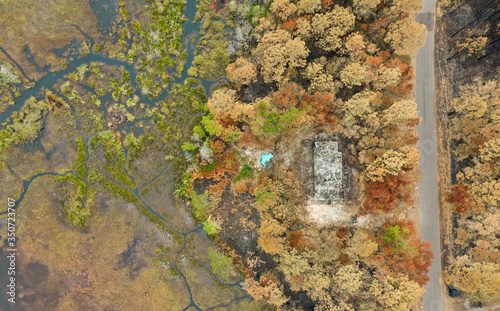 Forest wildfire in the forest with some burned trees and houses. Ashes from wood and houses