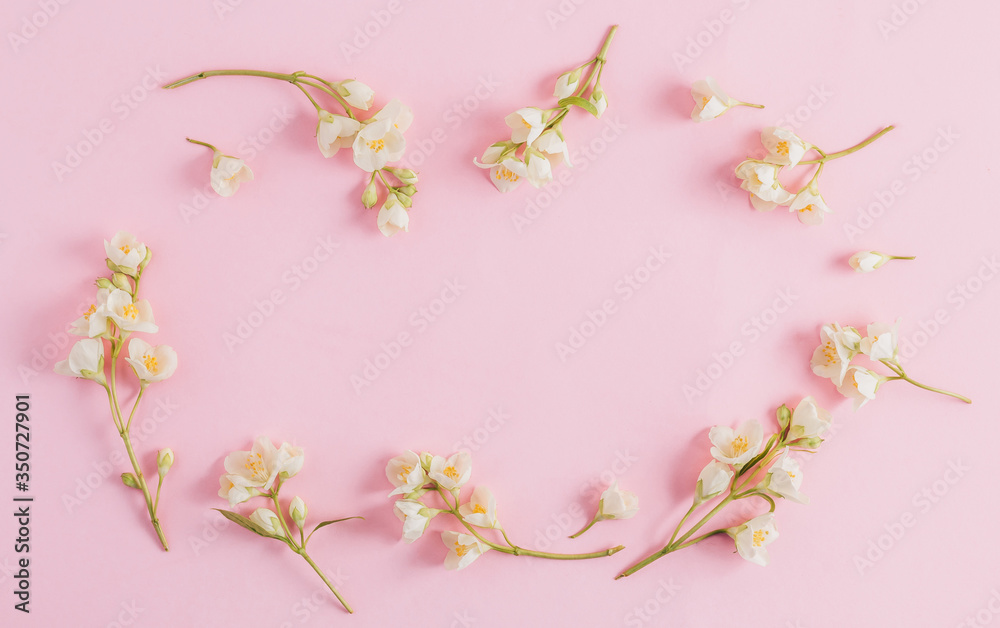 Delicate pastel pattern with jasmine flowers. Flat lay. Top view Delicate pastel pattern with jasmine flowers. Flat lay. Top view