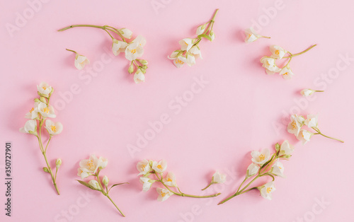 Delicate pastel pattern with jasmine flowers. Flat lay. Top view