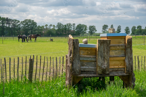 Bienenstöcke photo