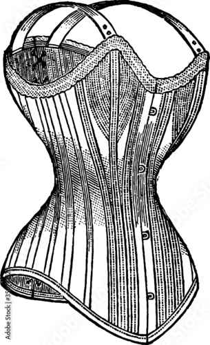 Drawing of a Victorian Corset Vector, Vector Illustration of a 19th century engraving