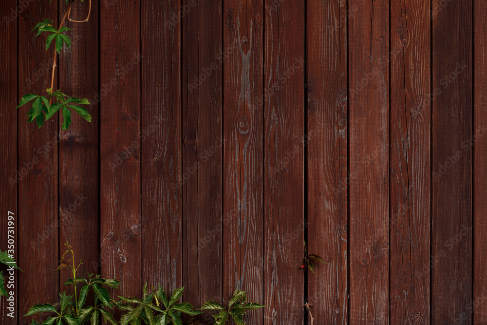 Brown board fence and the grape vine. Natural wood background for vintage design. Brown board fence and the grape vine. Natural wood background for vintage design.