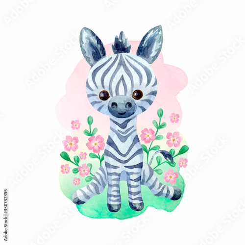 Photography Cute zebra