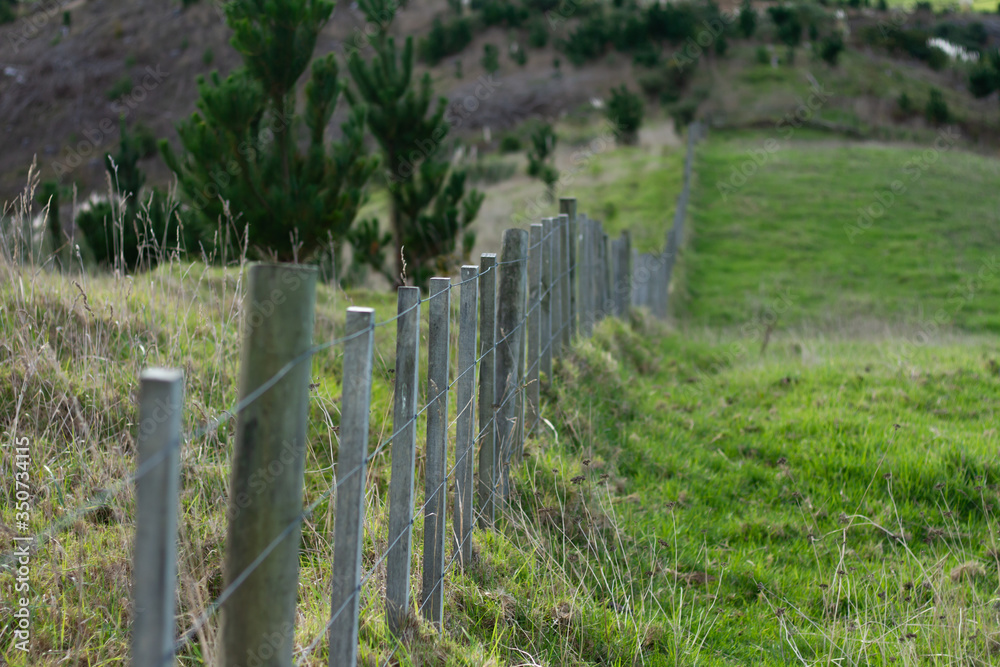 A rural boundary fence.