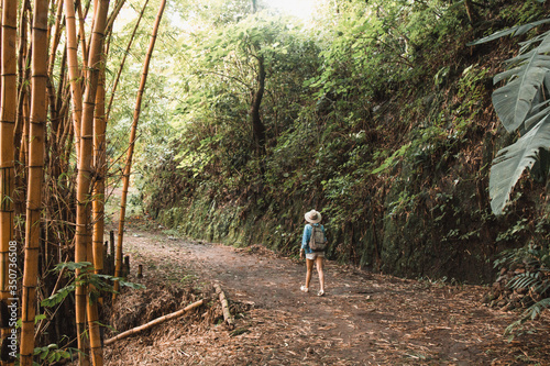 hiking in the forest