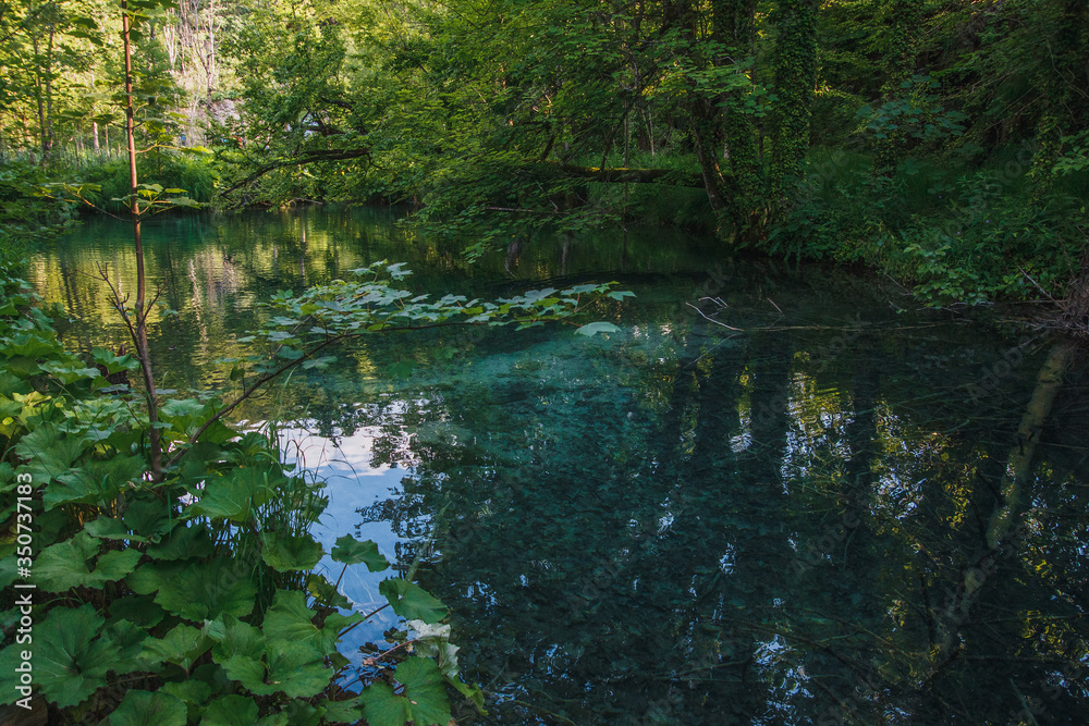 Plitvice Lakes National Park, Croatia. One of the most beautiful places in the world. Plitvice Lakes National Park, Croatia. One of the most beautiful places in the world.