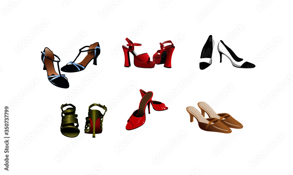 Obraz premium Women's shoe set