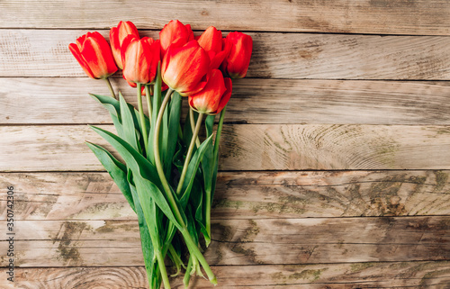 Real spring red tulips on a rustic wooden background. Spring flowers for Mother s Day. Top view.