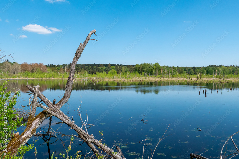 Schwenninger Moos