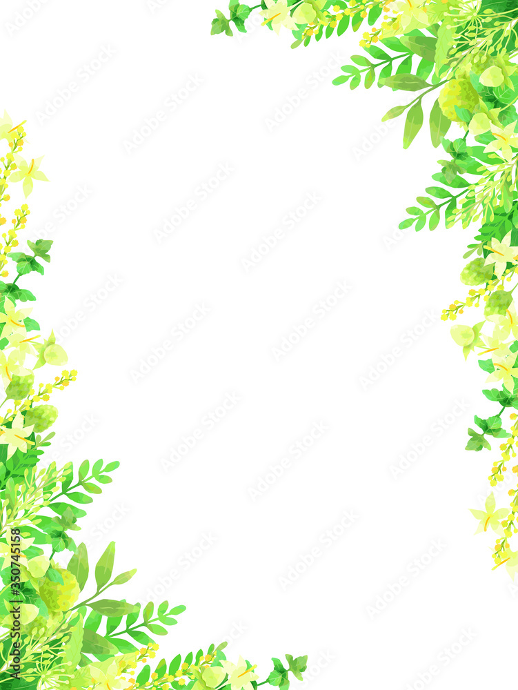 さわやかな植物のイラスト背景