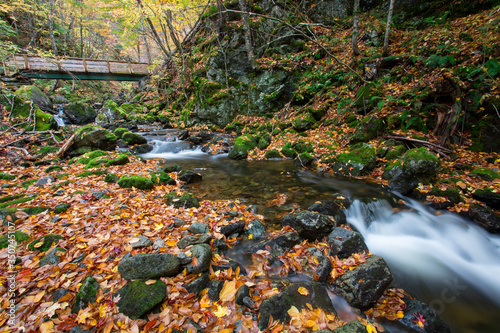 Beautiful scenery of autumn fall foliage colors and the flowing of the river inside the woods - Uisge Ban Provincial Park. Autumn colors of Cape Breton  Nova Scotia