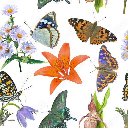 Butterflies and wild flowers. Seamless pattern.