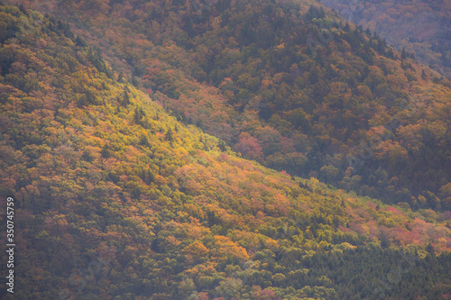 Autumn colors of Cabot Trail, Cape Breton Nova Scotia. Fall foliage of the mountains with multi colored deciduous trees, Cabot Trail 