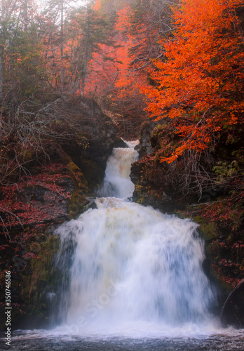 Fotobehang Gushing water fall in an autumn forest landscape with dense trees, Cape Breton