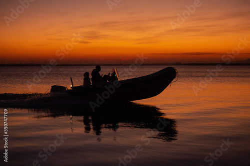 Boar on the river, Brazil sunset