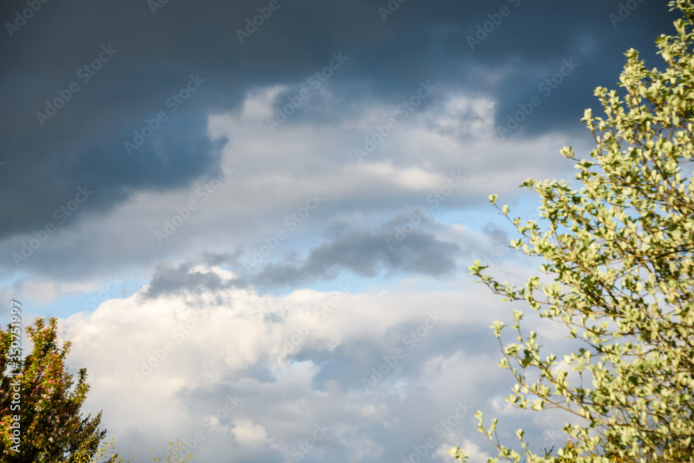 Stormy and cloudy sky as a nature background
Stormy and cloudy sky as a nature background