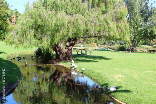 Park in Adelaide, Australia