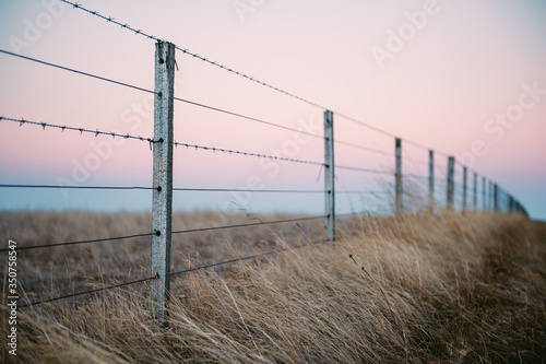 Farm fence against pink sunset