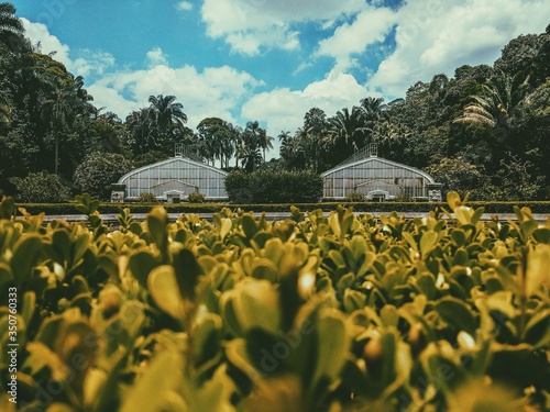 Green Houses in São Paulo Botanical Garden - Brazil