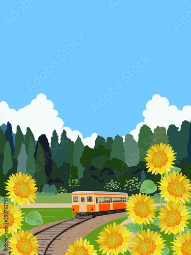夏の風景　ローカル電車とヒマワリ