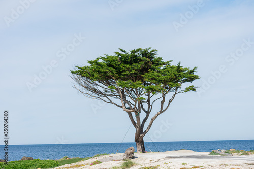 17 Mile Drive  California  USA