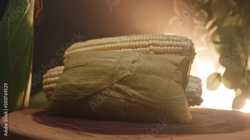 Typical Brazilian food made with corn, called Pamonha photo