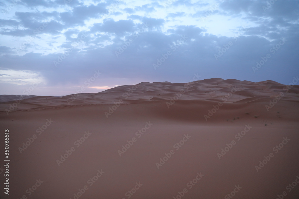 Naklejka premium Dawn in the Sahara Desert.